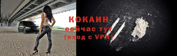 спиды Богданович