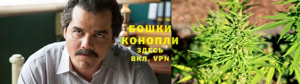 каннабис Белокуриха