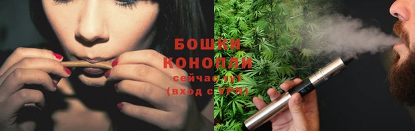 ПСИЛОЦИБИНОВЫЕ ГРИБЫ Богородицк