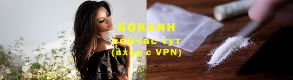 спиды Богданович