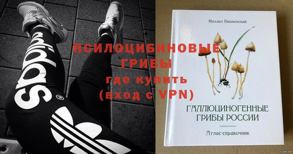 спиды Богданович