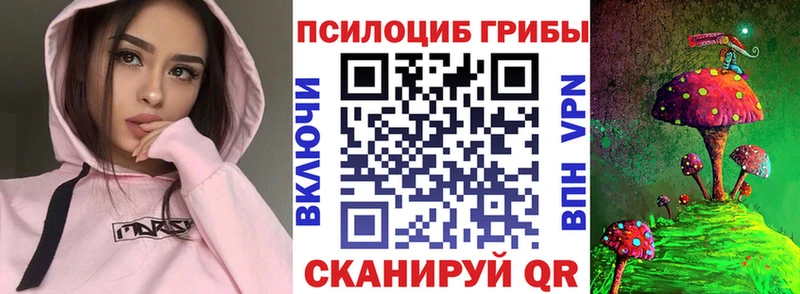 Псилоцибиновые грибы Psilocybe  Наволоки 